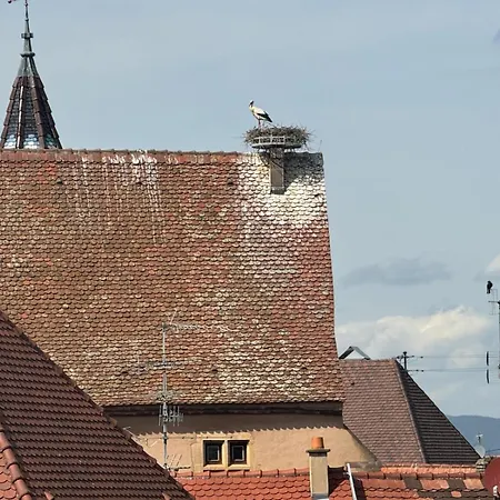Lägenhet L'adresse - Rempart Sud - Avec Garage Prive Eguisheim