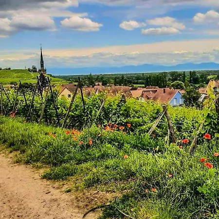 L'adresse - Rempart Sud - Avec Garage Prive Appartamento Eguisheim